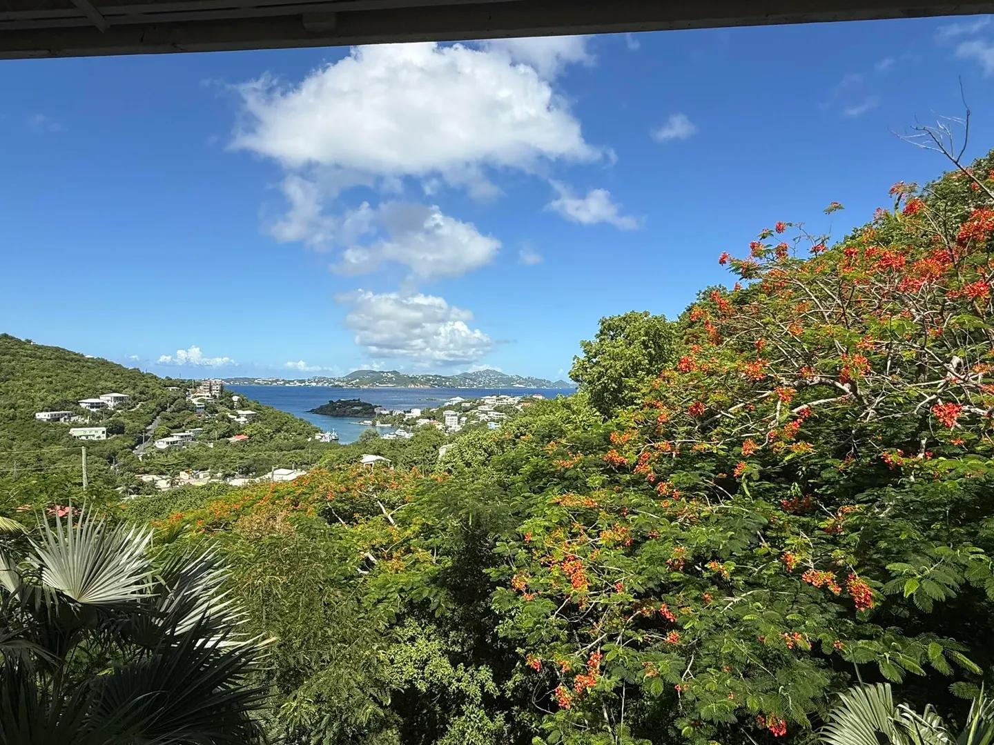 Hibiscus Serendip - St. John — photo 4