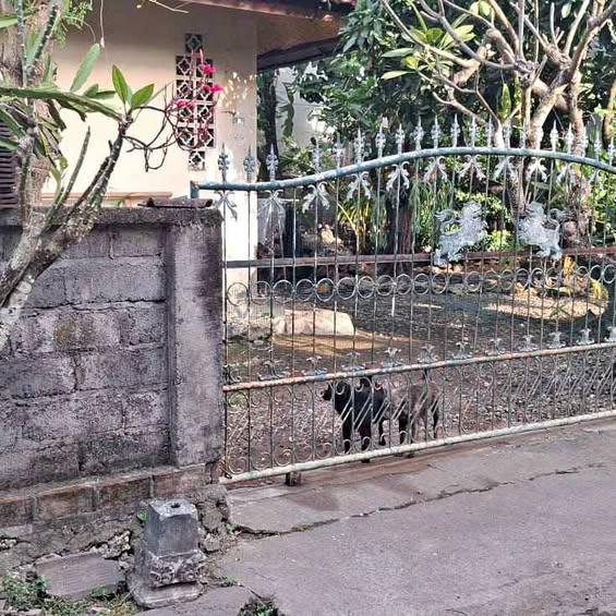 Studio house in Denpasar — photo 1