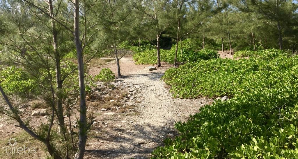 Freehold - Picturesque Seafront Land Plot in Spotts — photo 5