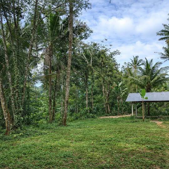 Land for sale in Denpasar — photo 1