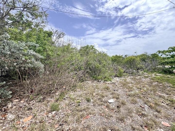 Large Beachfront Lot - Rum Point Drive - Perfect Estate Parcel — photo 5