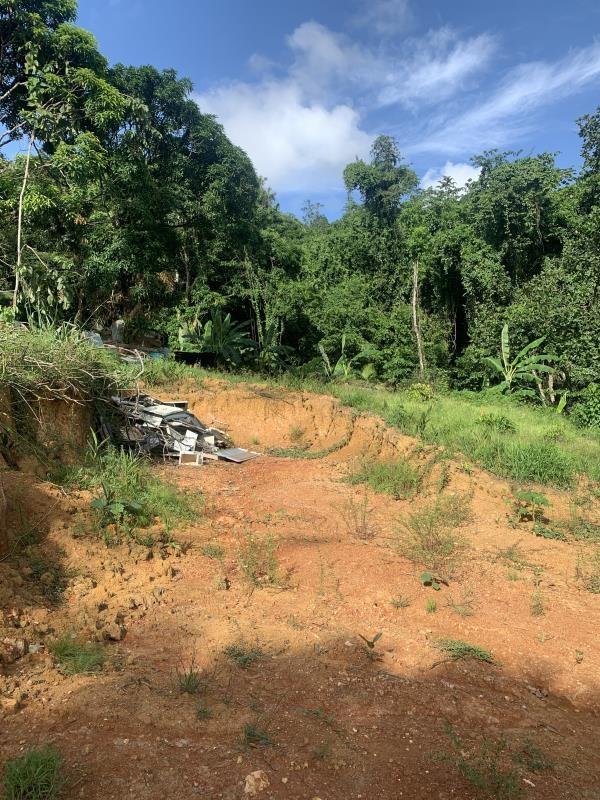 Residential Land Lots in Goodlands, Castries — photo 3