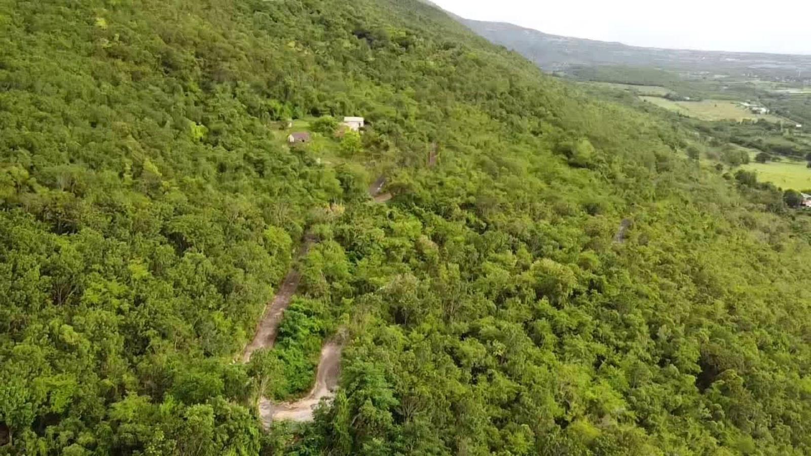 LAND PART OF MALVERN WELL St. Elizabeth Malvern Well — photo 2