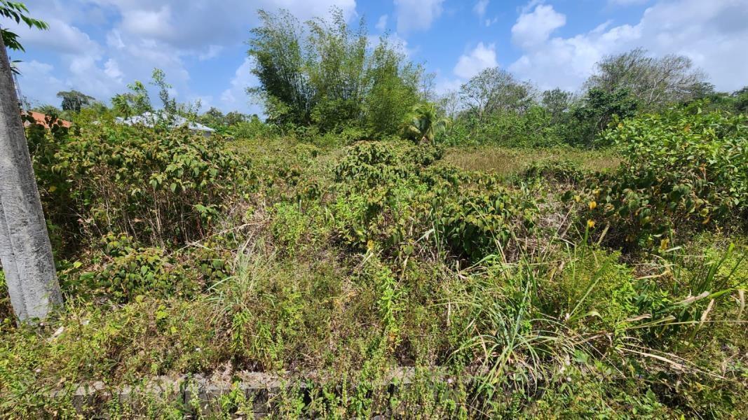 Guaico Tamana Road Lots for Sale — photo 2