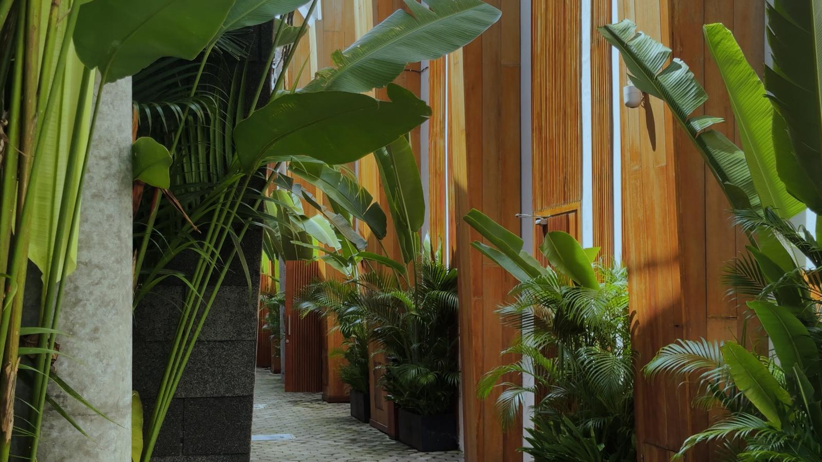 Sunny Cuddles Resort Apartments in Bali — photo 5