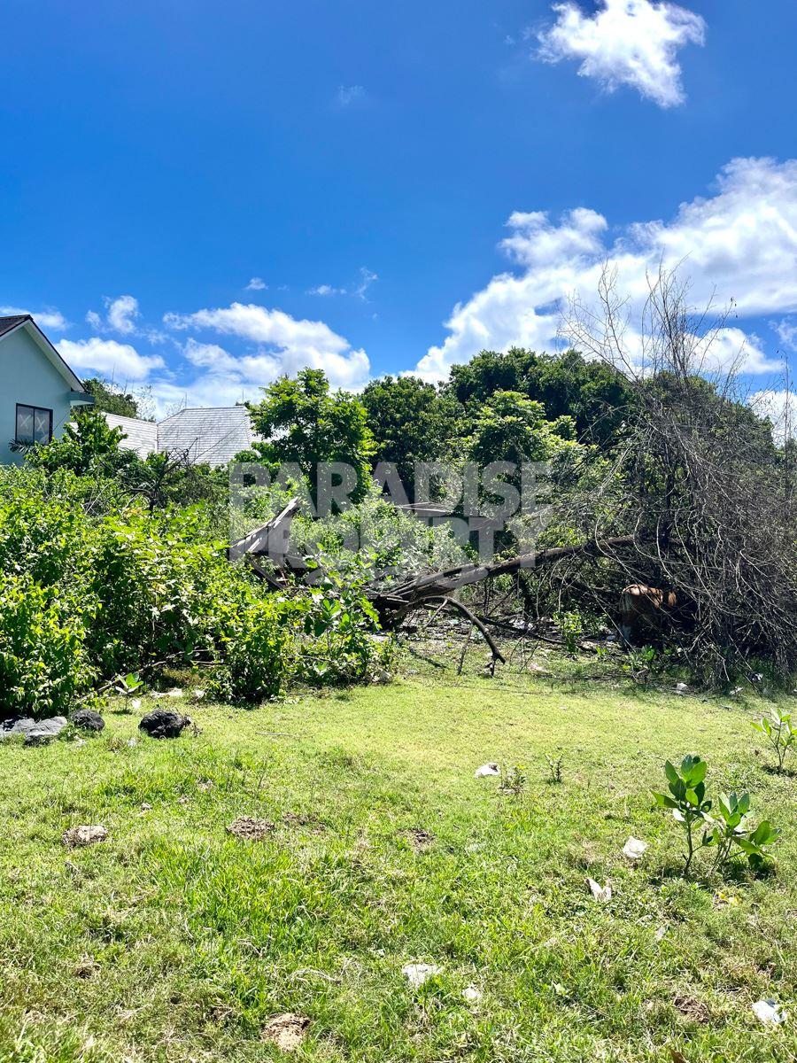 Prime Land in Umalas for Development — photo 4