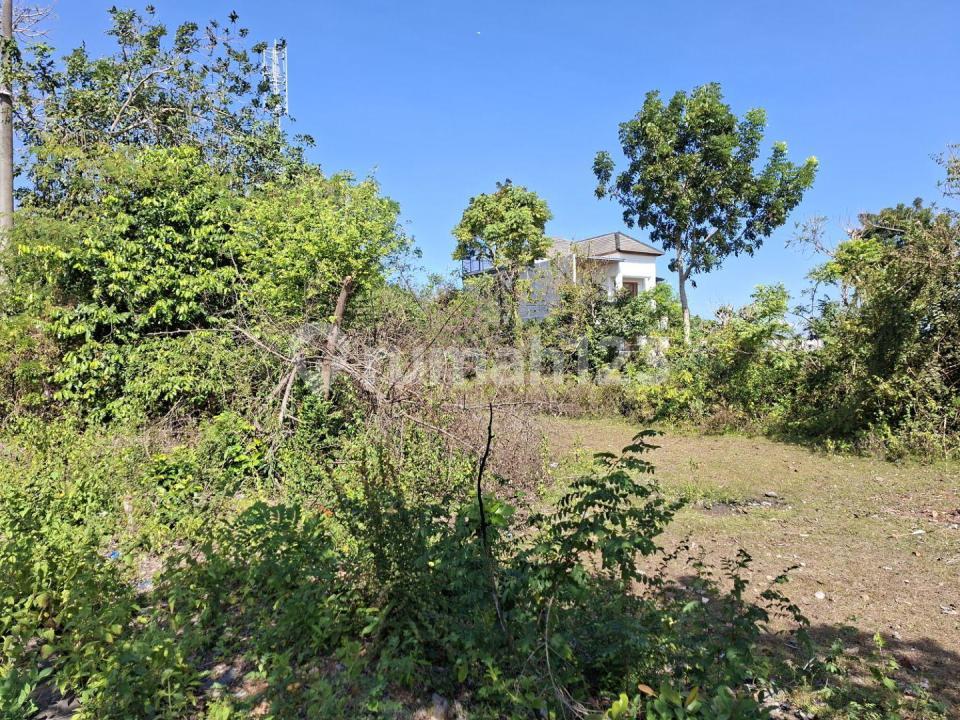 Land Parcel for Sale in Bali, Indonesia — photo 3