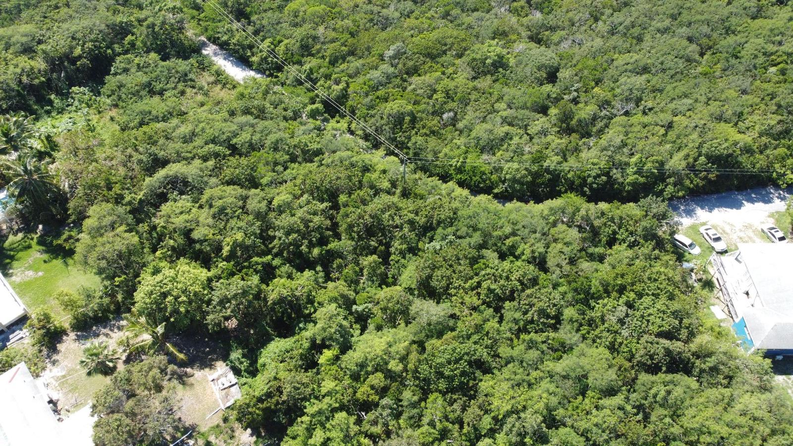 LOT 13157, LANTANA AVENUE — photo 4