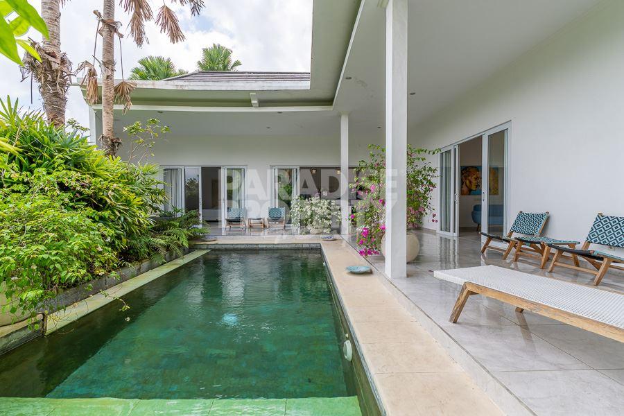 Modern Beautiful 3 Bedroom Villa – South of Ubud – Rice Field Views — photo 2