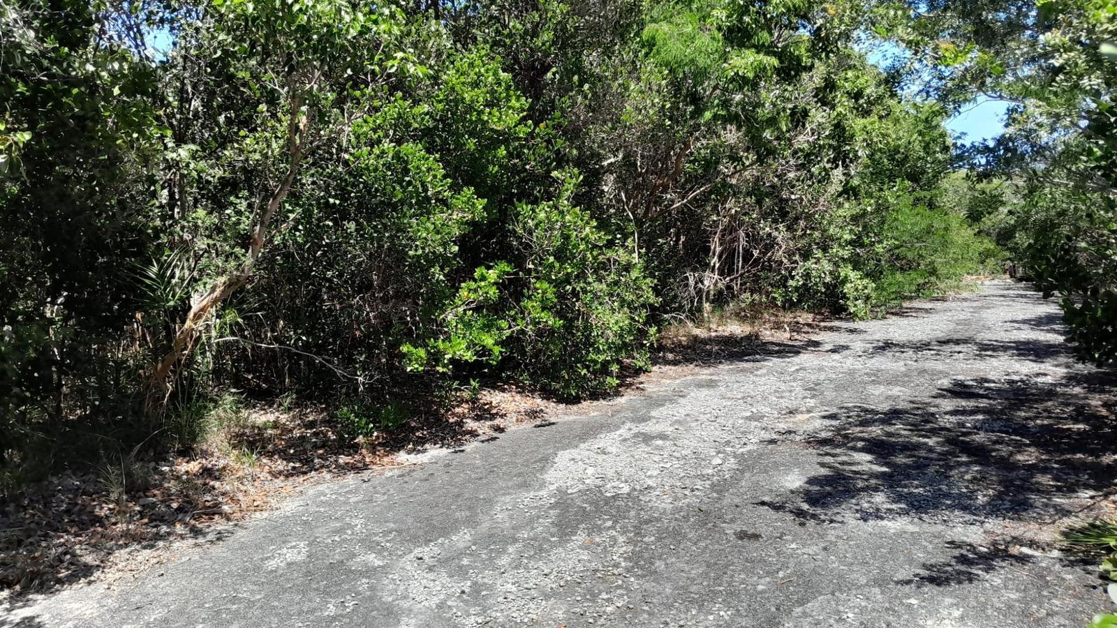 5347 BAHAMA SOUND 7E — photo 5