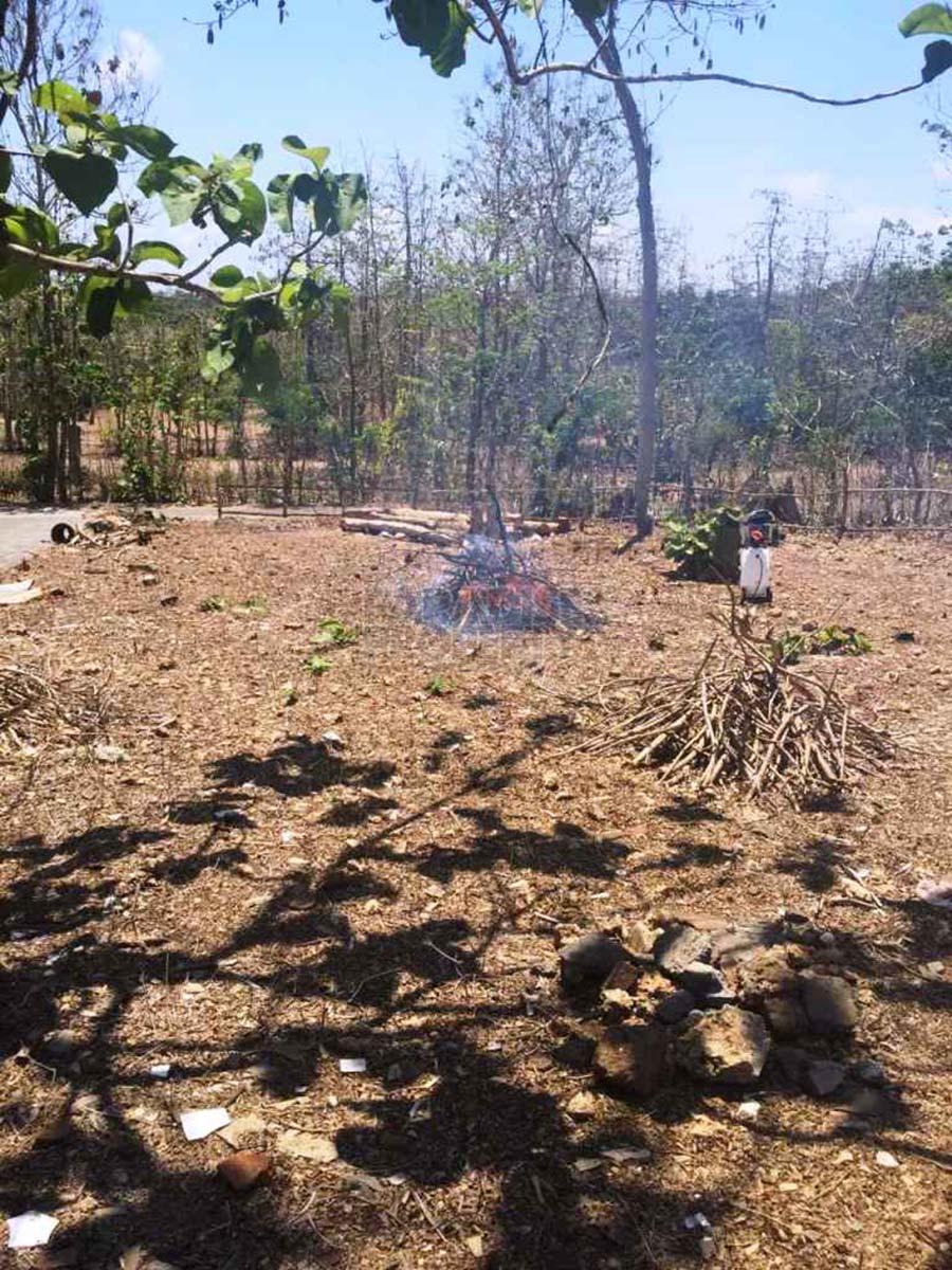 Freehold Land Near Asian International School in Jimbaran — photo 2