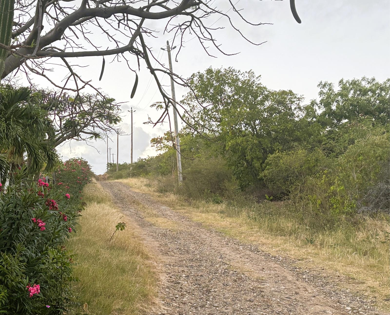 Statia Island 1 Acre Lots In Union Estate For Sale - Off The White Wall Road Sint Eustatius — photo 5