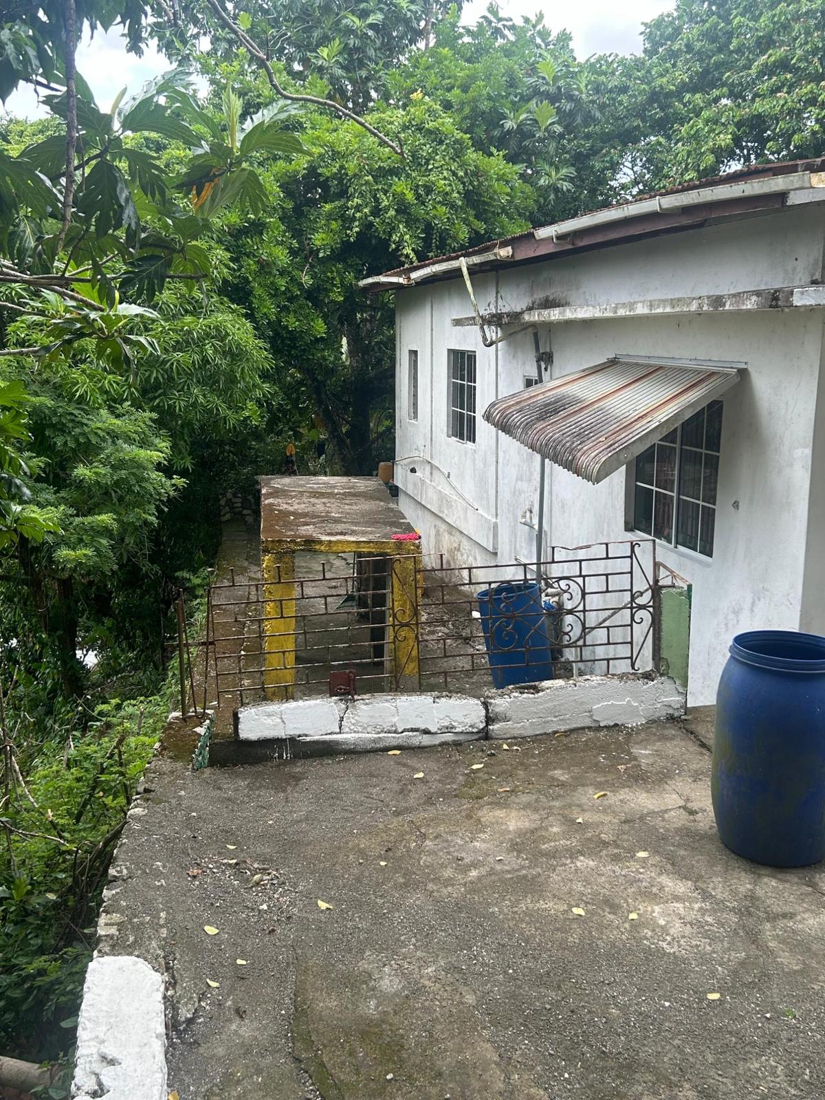RED HASSELL ROAD, PORTLAN Portland Port Antonio — photo 4