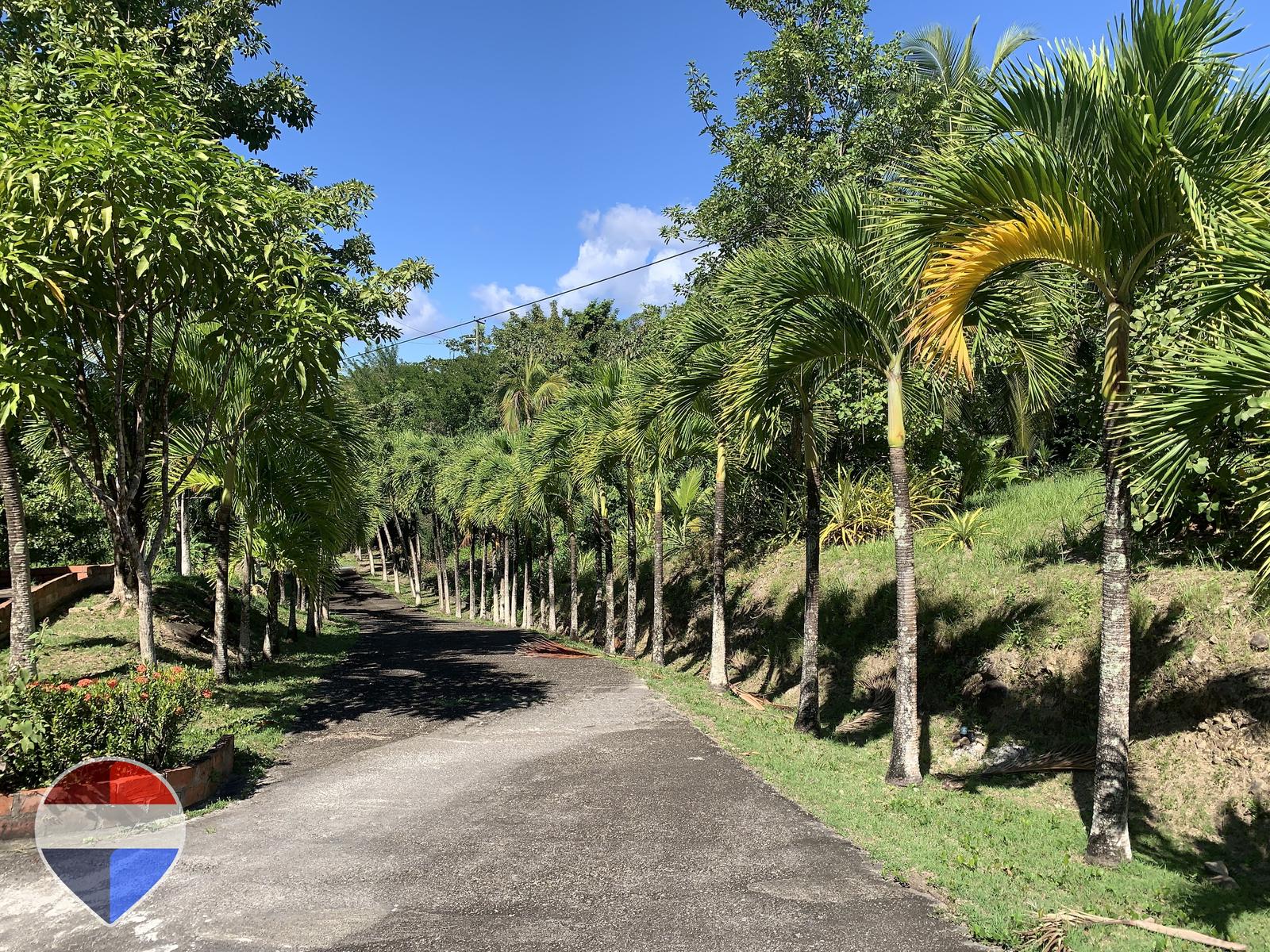 Theodorine Estate: 20-Acre Elevated Sanctuary with Sweeping Caribbean Sea Views — photo 1