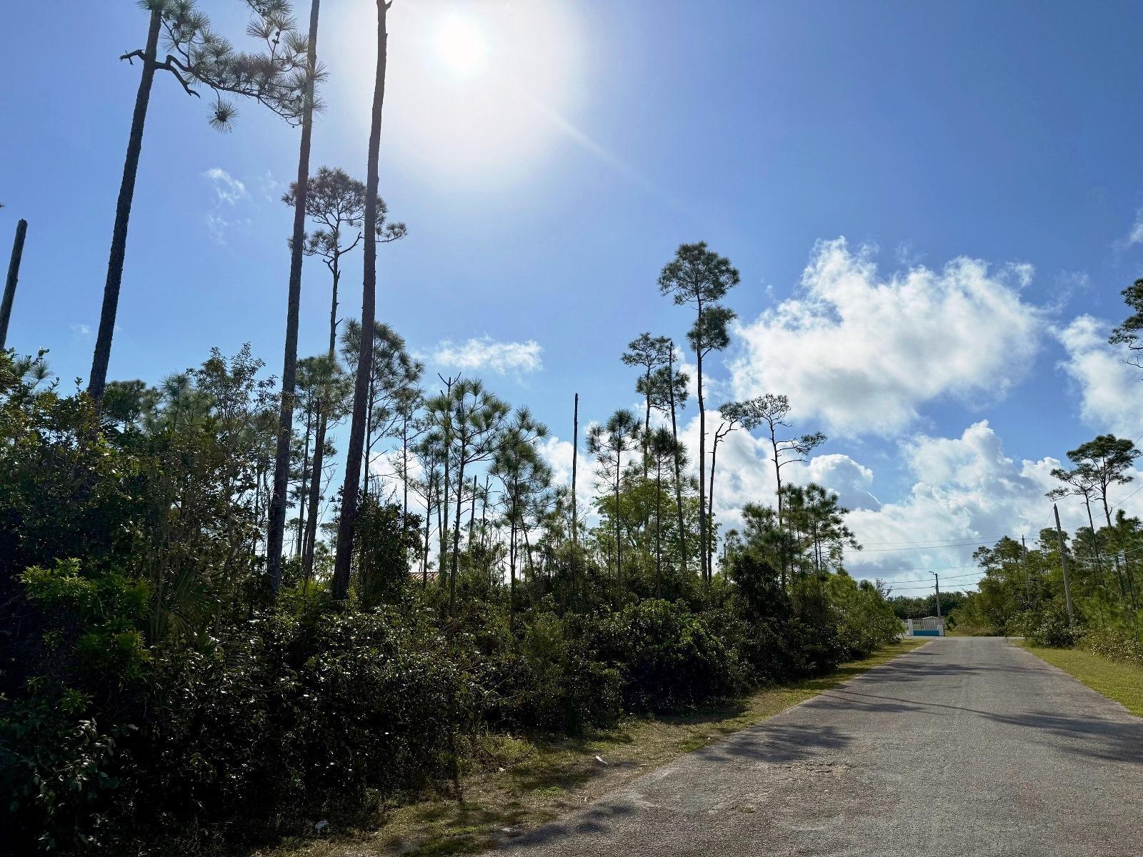 BAHAMIA NORTH LOT 7 — photo 5