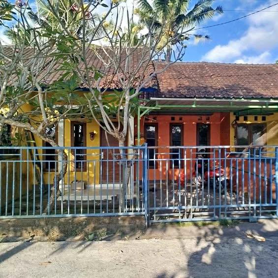 Studio house in Bali — photo 1