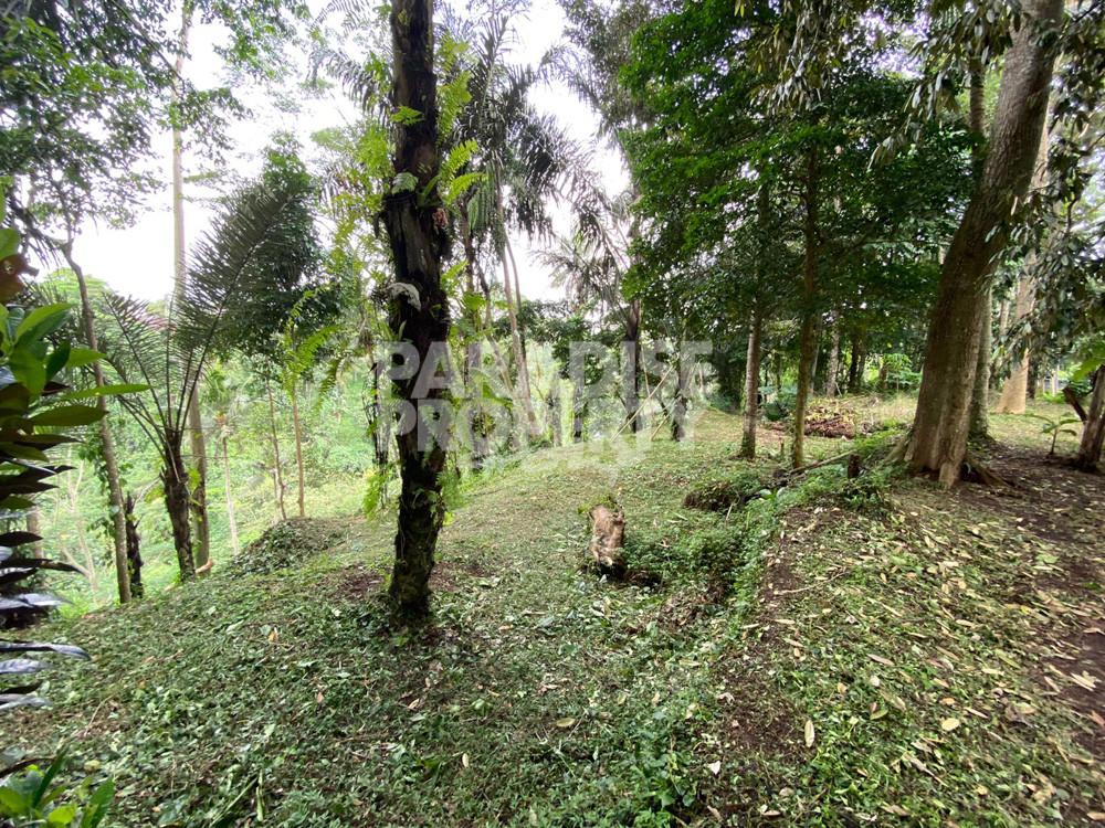 Stunning Valley Views – 2900 Sqm Freehold Land – Keliki — photo 5