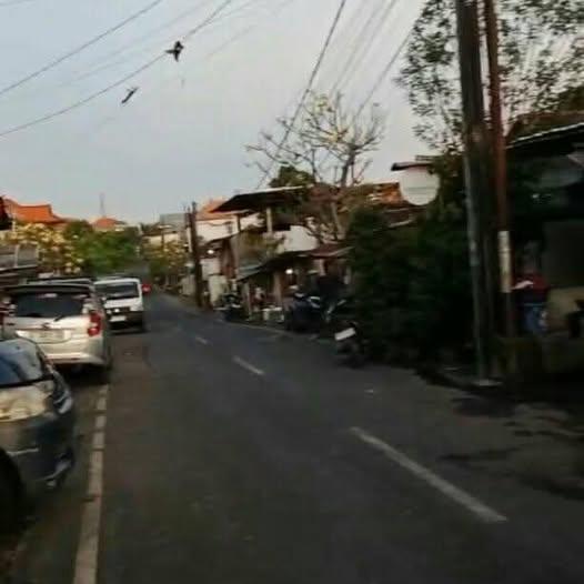 Land for sale in Denpasar — photo 1
