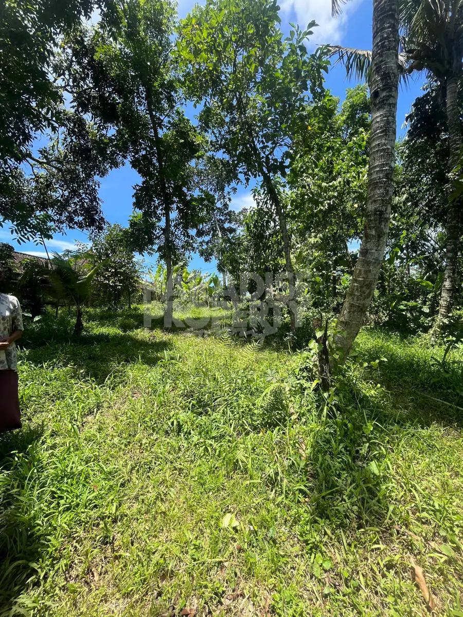 1.18 Ha Freehold Land for Sale in Tabanan with Jungle & River Views — photo 4