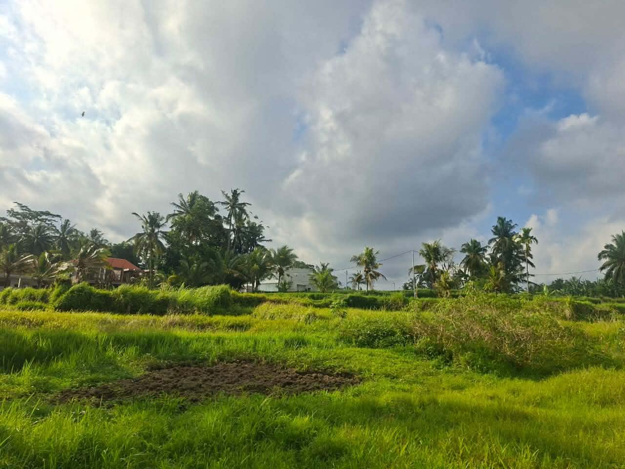 11 Are Land on Suweta Street – Prime Ubud Location — photo 1