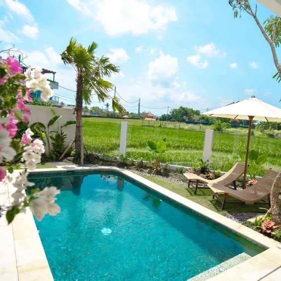 2-bedroom house in Denpasar — photo 1