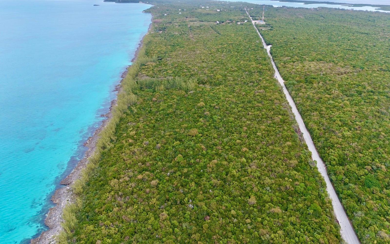 THE GIBSON TRACT — photo 4
