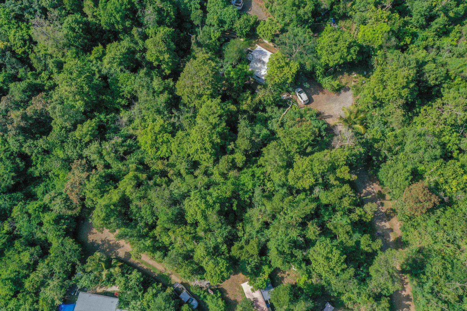 0.29 Acre Lot in St John Island — photo 3