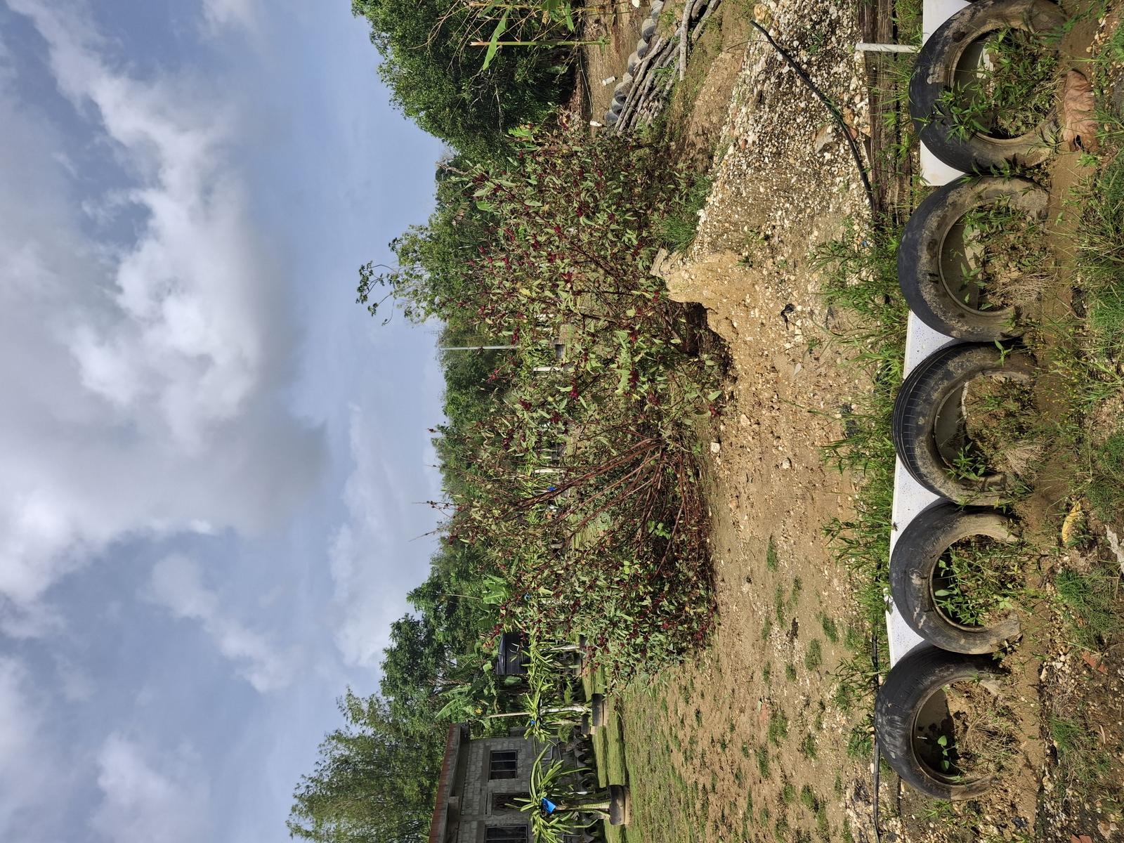 1 lot land Sangre Chiquito — photo 2