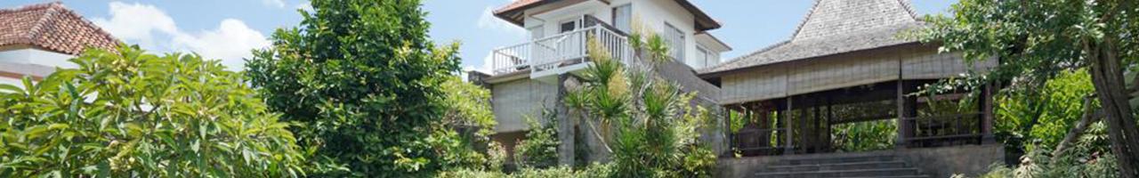 Freehold Four-Bedroom Canggu Villa on 10 ARE – Unbeatable Value - 2520 - BALI REALTY — photo 2