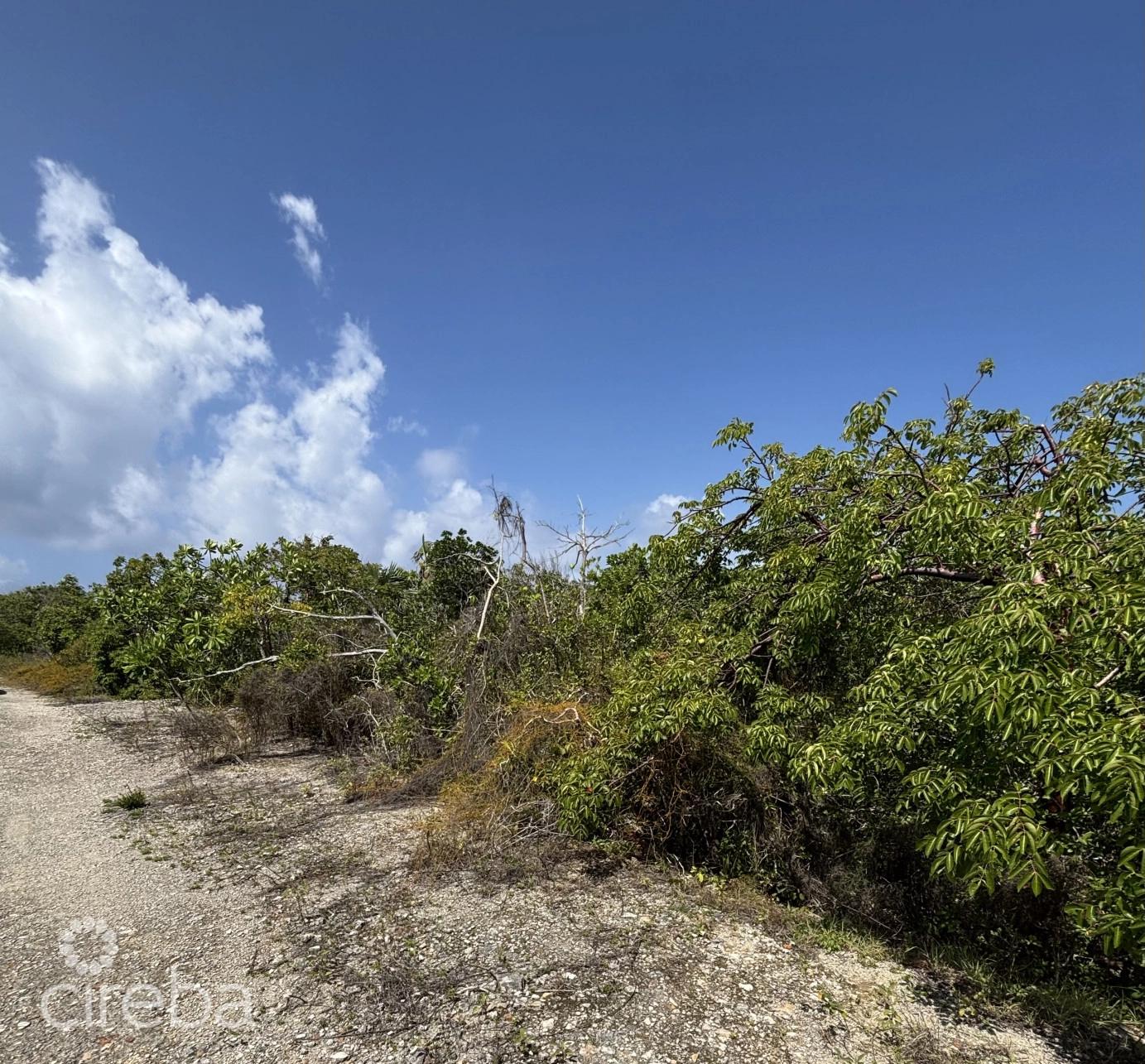 Point Of Sand Lot in the Cayman Islands — photo 5