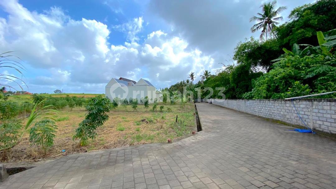 Land for sale in Tabanan with rice field views — photo 2