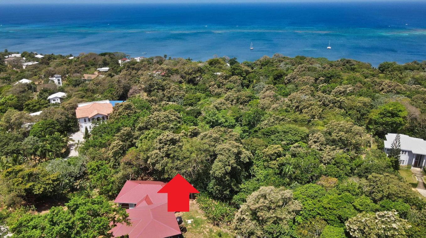 The Banks Roatan 0.21 Acre Opportunity at Orchid Beach — photo 4