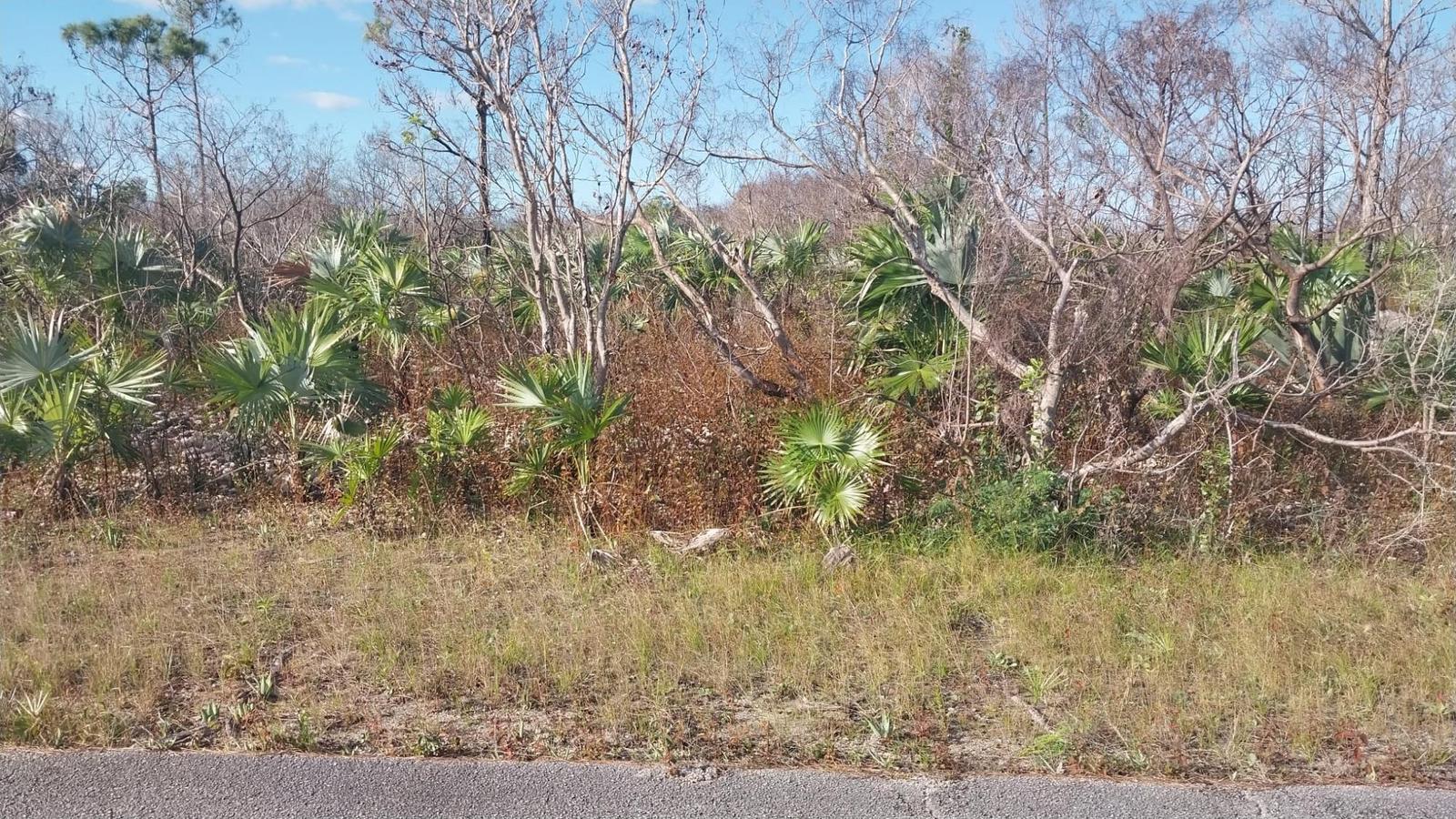 4 Bronze Drive — photo 5