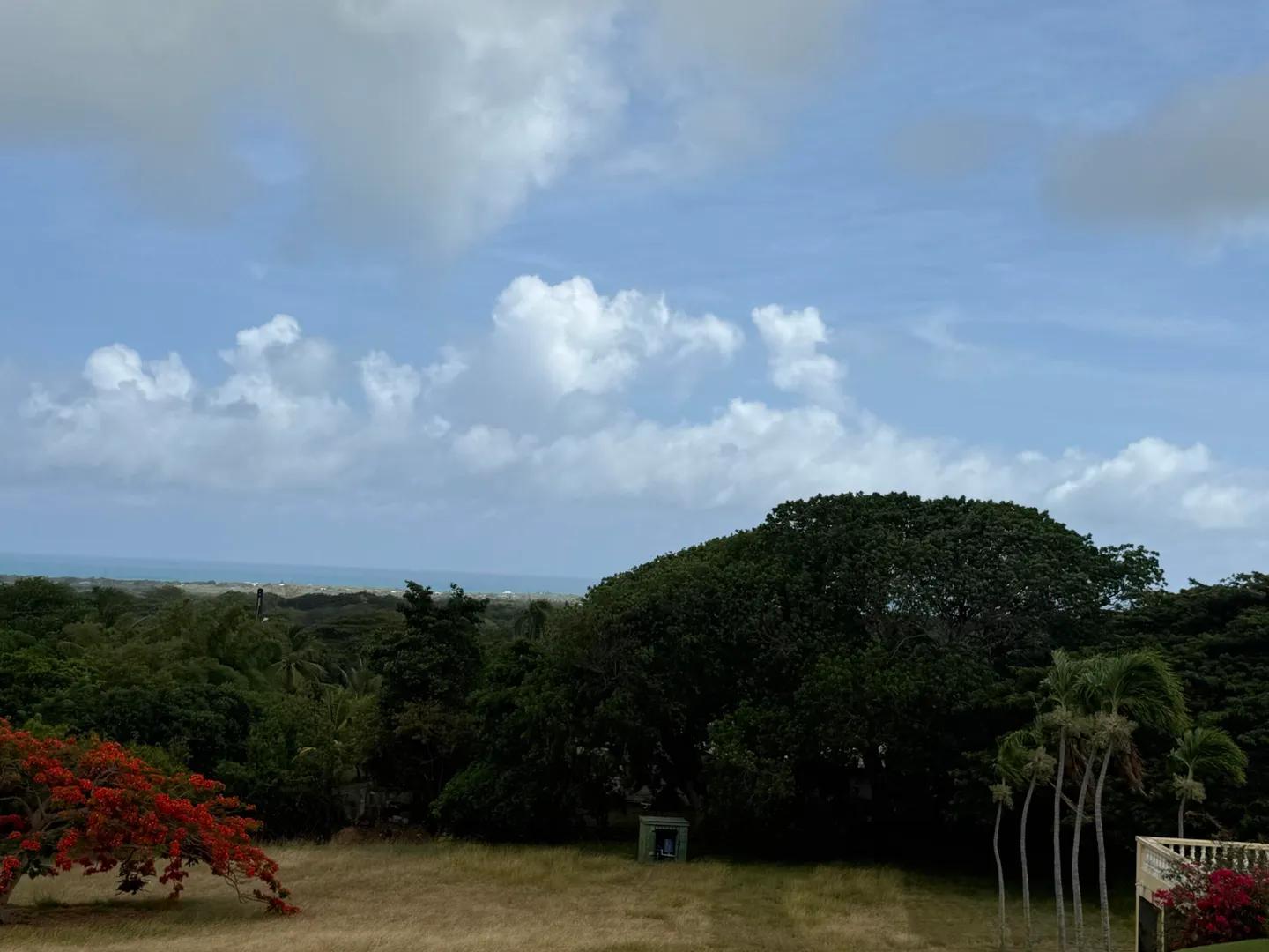1 Acre Homesite Lot with Sea Views in St. Croix — photo 4