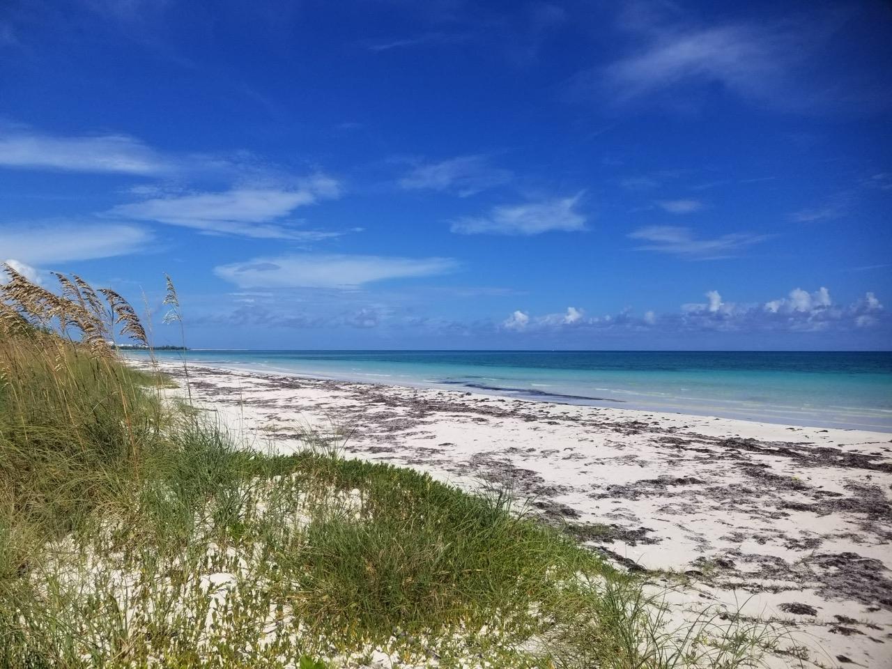 2 bedroom Apartment for sale in TYNE BEACH TERRACE, Grand Bahama, The Bahamas — photo 1