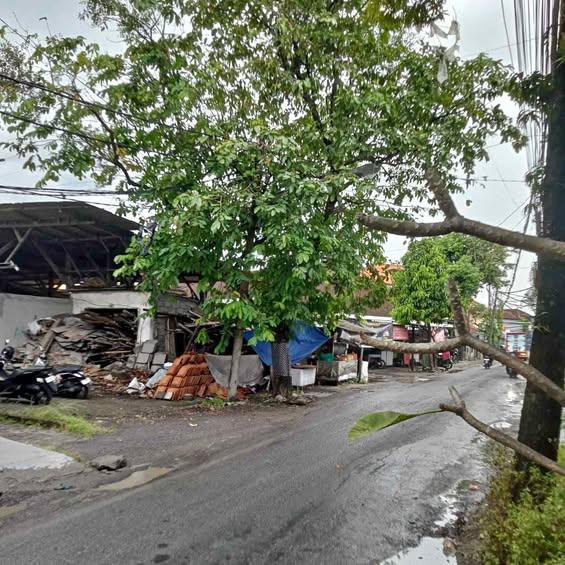 Studio house in Denpasar — photo 1