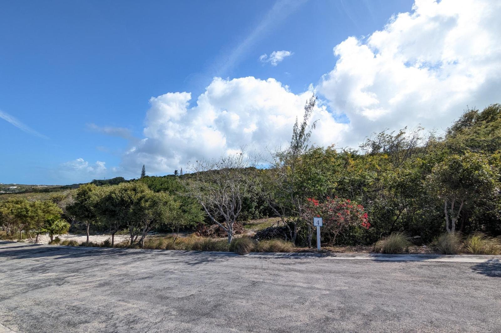 #4 TAYLOR MACKENZIE DRIVE — photo 4