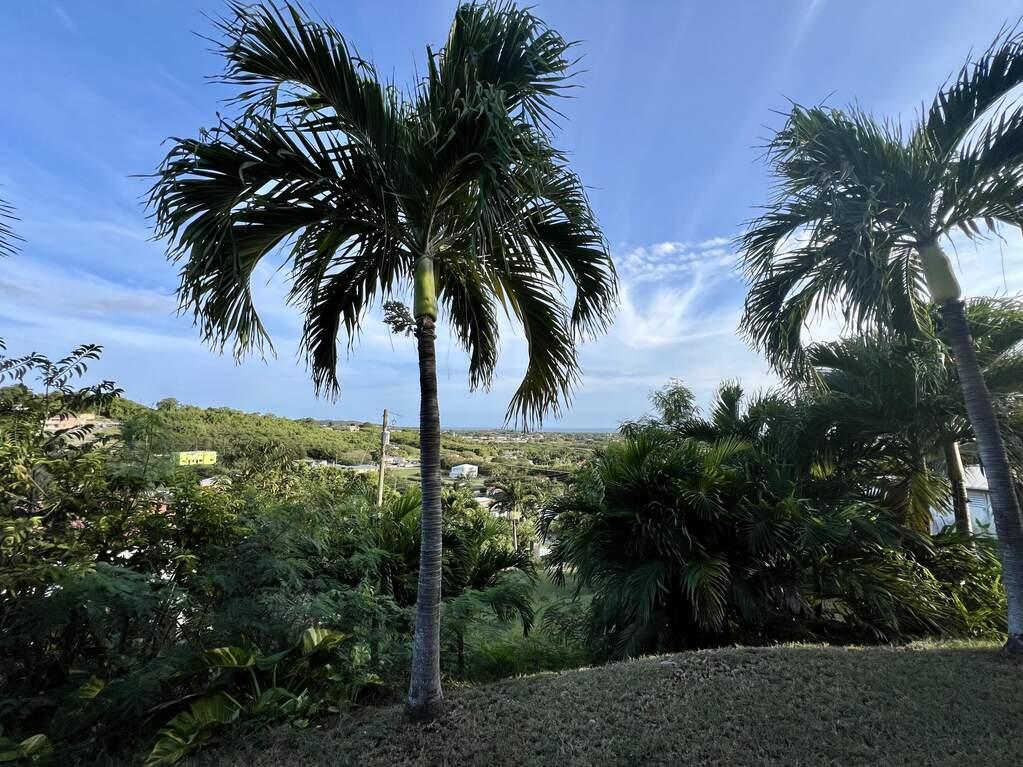 2 Bedroom Multi Unit for sale in St. Croix, VI — photo 2