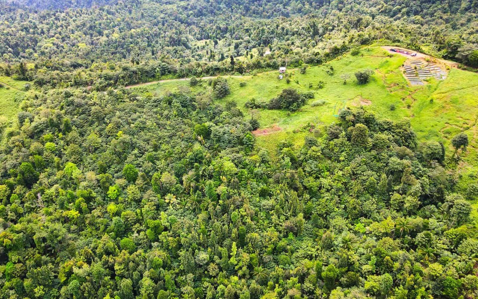 6.34 Acres of Land for Sale, Pond Casse, Saint Paul, Dominica — photo 5