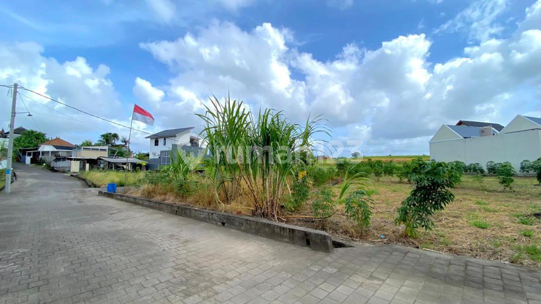 Land for sale in Tabanan with rice field views — photo 5