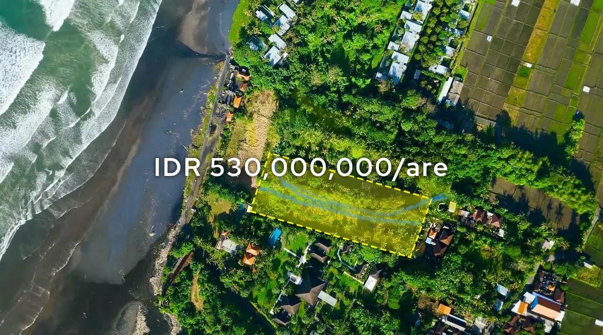 Prime Ocean-View Land for Sale Tabanan – Rare 53 Are Freehold Opportunity — photo 1