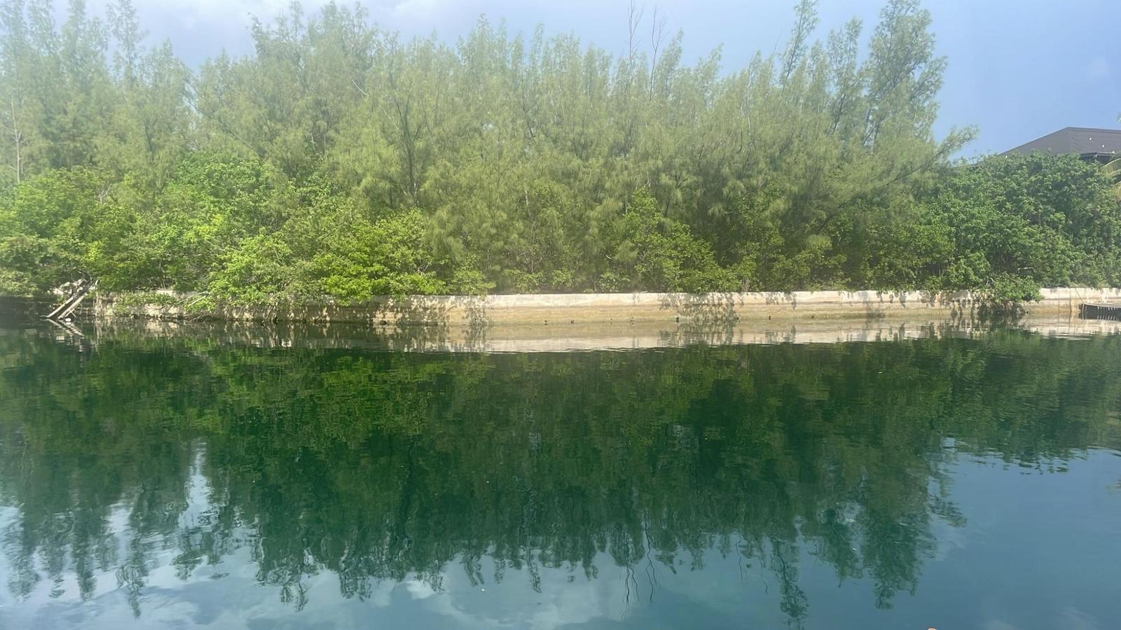 Windsor Bay 0.55 Acre Lot — photo 1