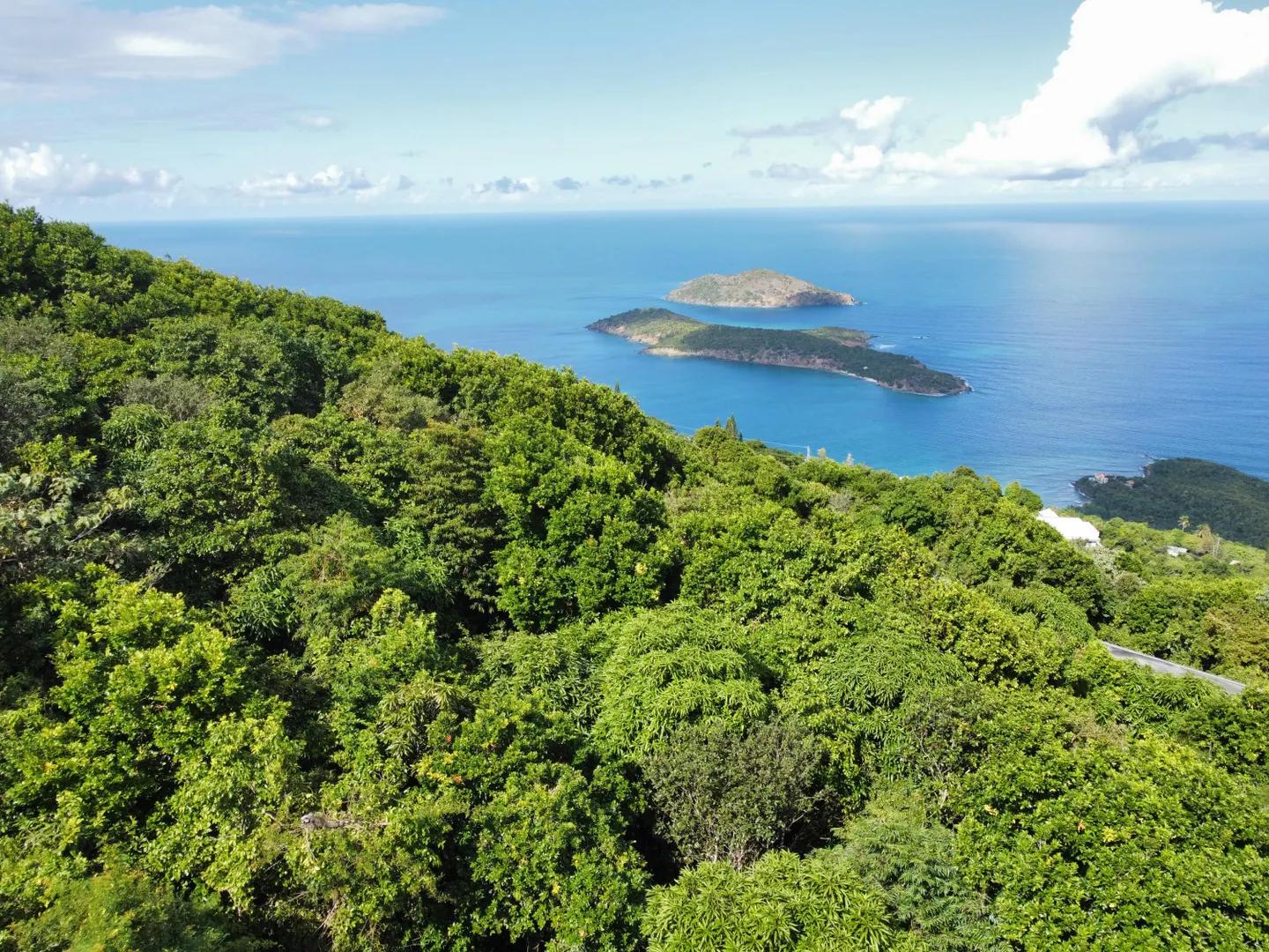 0.65 Acre Homesite Lot in St. Thomas — photo 3