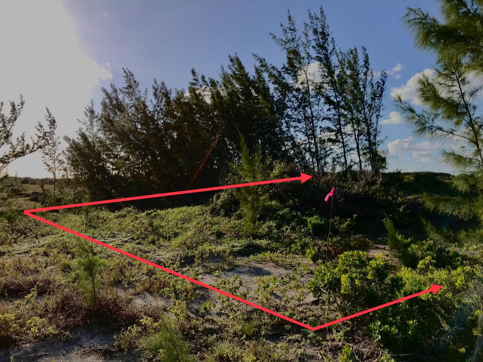 OCEAN VIEW LOT C1 GOVERNO — photo 4