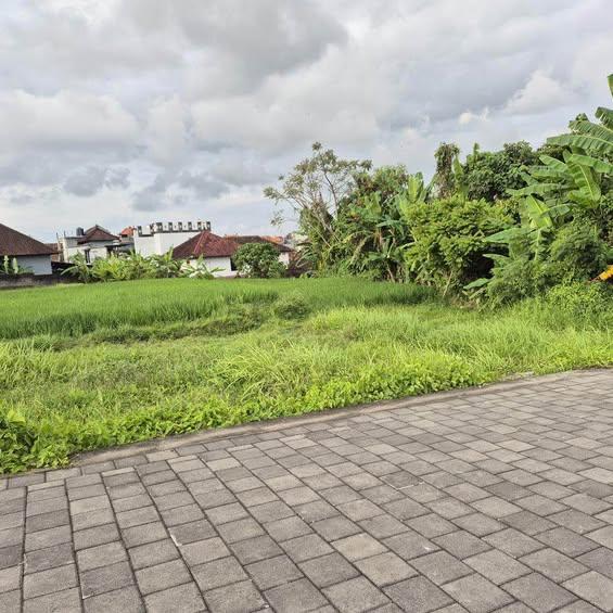 Studio house in Denpasar — photo 1