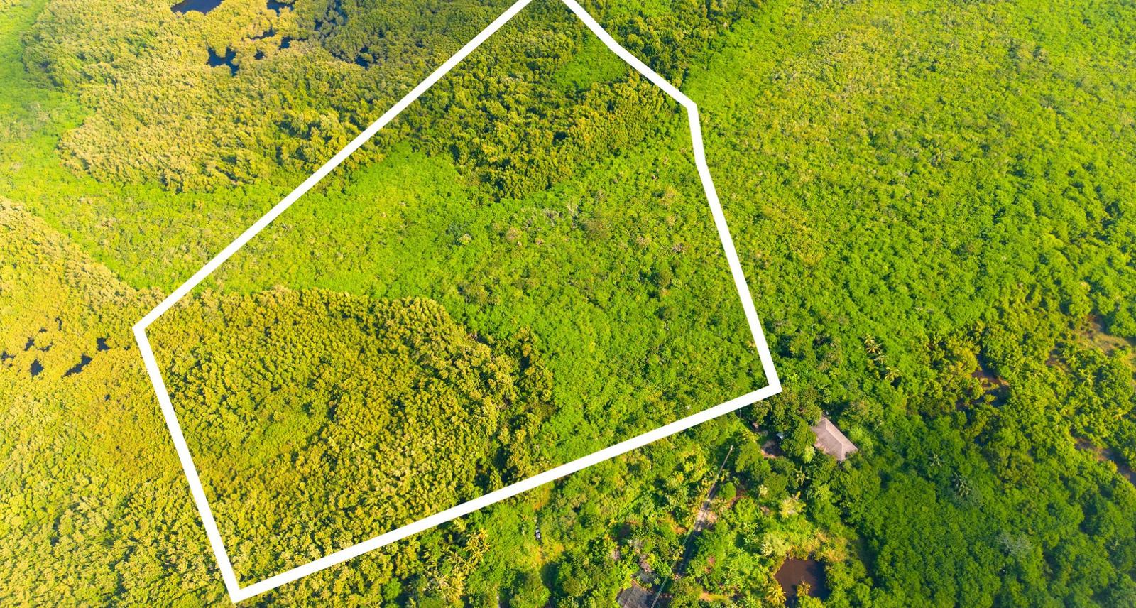 Harvey Stephenson Drive Development Land — photo 3