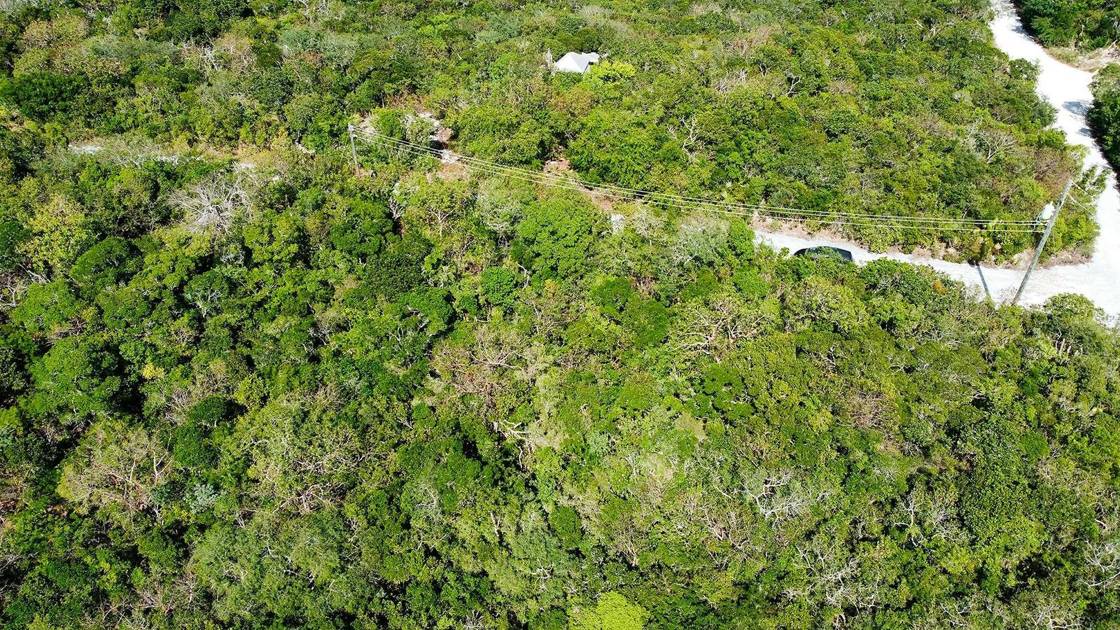 11612 BAHAMA SOUND — photo 5