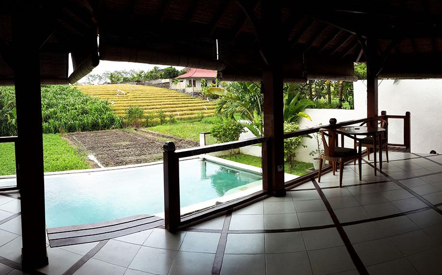 BRAND NEW VILLA IN CANGGU, CASUAL BALINESE LIVING EUROPEAN STYLE (ONE) — photo 3