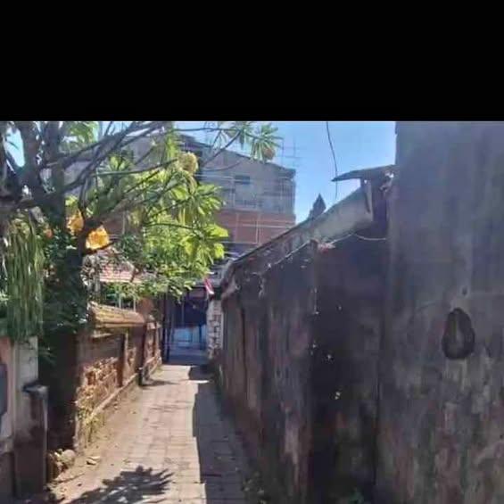 Studio house in Denpasar — photo 1