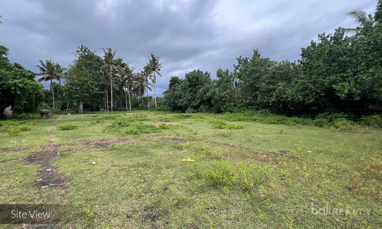 Exclusive 50 ARE Freehold Beachfront Land in Jembrana – 2654 — photo 4